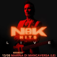 Nek Hits Live, concerto imperdibile