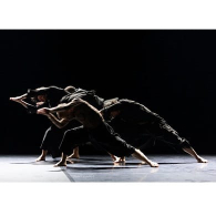 Walking on the wild side