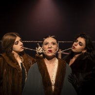 Le vedove alla coque, di Bianca Tortato