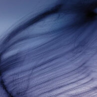 Butterfly effect