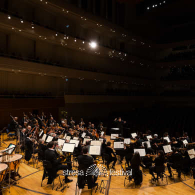 Dvořák, Stresa Festival