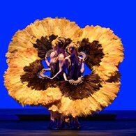 Botanica - Season 2, Momix in scena