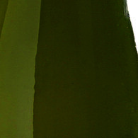 Viva Verdi!, spettacolo itinerante al Teatro Verdi di Padova