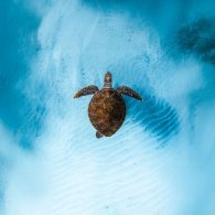 Ocean Film Festival World Tour Italia 2026: la tappa inaugurale a Milano