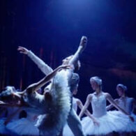 Il lago dei cigni con la Roma City Ballet Company al Celebrazioni
