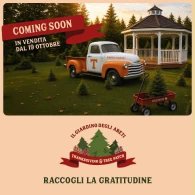 IL GIARDINO DEGLI ABETI - THANKSGIVING TREE PATCH