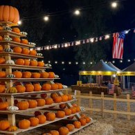 Giochi di Zucca, manifestazione alla Mostra d'Oltremare - VI edizione