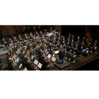 SONORA JUNIOR SAX
