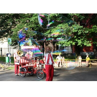 FISH&BUBBLES - CIRCOLETTO