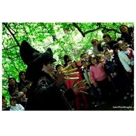 IL POPOLO DEL BOSCO