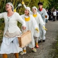 Un brutto anatroccolo all'Orto Botanico di Napoli