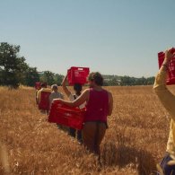 Sogni al campo, performance itinerante al Parco Agricolo Ticinello