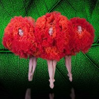MOMIX - BOTANICA SEASON 2