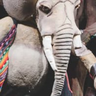 Elefante smemorato e la papera ficcanaso, spettacolo per bambini