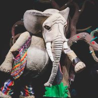 ELEFANTE SMEMORATO E LA PAPERA FICCANASO
