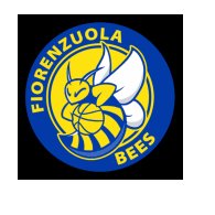 FIORENZUOLA BEES VS RIMADESIO AURORA DESIO
