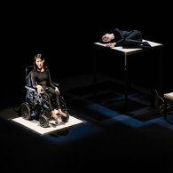 MICHEL: THE ANIMALS I AM
