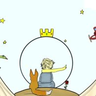 IL PICCOLO PRINCIPE