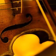 Candlelight: Le quattro stagioni di Vivaldi, concerto del Quartetto Velon