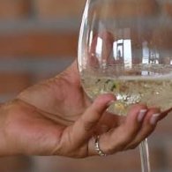 Castelli di Jesi nel Bicchiere, manifestazione enogastronomica