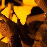 Candlelight: le Quattro Stagioni di Vivaldi, concerto alla luce delle candele