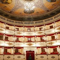 IL LIBRO DELLA GIUNGLA