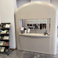 Museo di Storia Naturale Faraggiana Ferrandi: un viaggio nella biodiversità a Novara