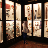 Museo di Storia Naturale, Antropologia e Etnologia di Firenze: un viaggio tra biodiversità e cultura