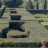 Visita Guidata alla Villa La Quiete di Firenze